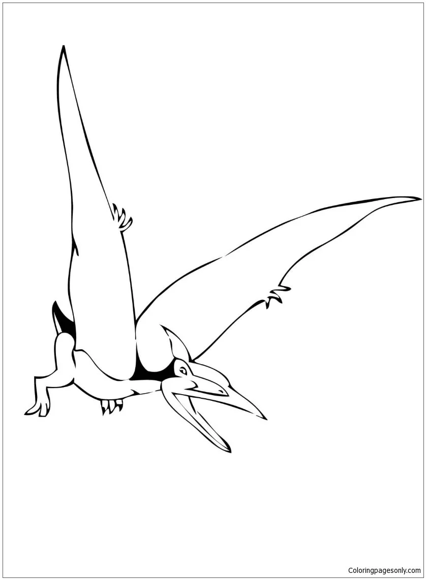 Desenhos de Pteranodon Para Colorir