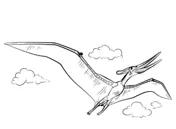 Pteranodon Coloring Pages 5