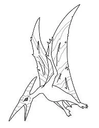 Pteranodon Coloring Pages 7