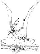 Desenhos de Pteranodon Para Colorir 9