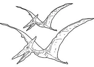 Desenhos de Pterodactilo Para Colorir 1