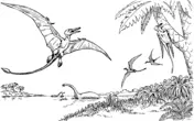 Desenhos de Pterodactilo Para Colorir 14