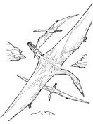 Pterodactyl Coloring Pages 2