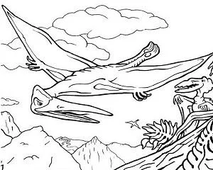 Desenhos de Pterodactilo Para Colorir 3