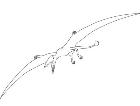 Pterodactyl Coloring Pages 4