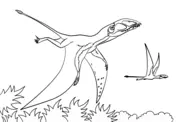 Desenhos de Pterodactilo Para Colorir 6