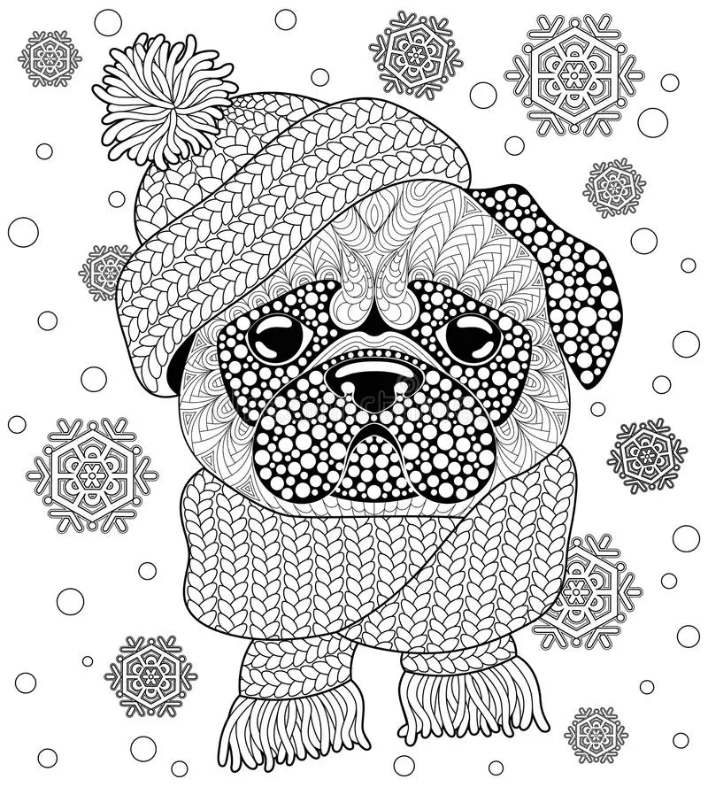 Desenhos de Pug Para Colorir