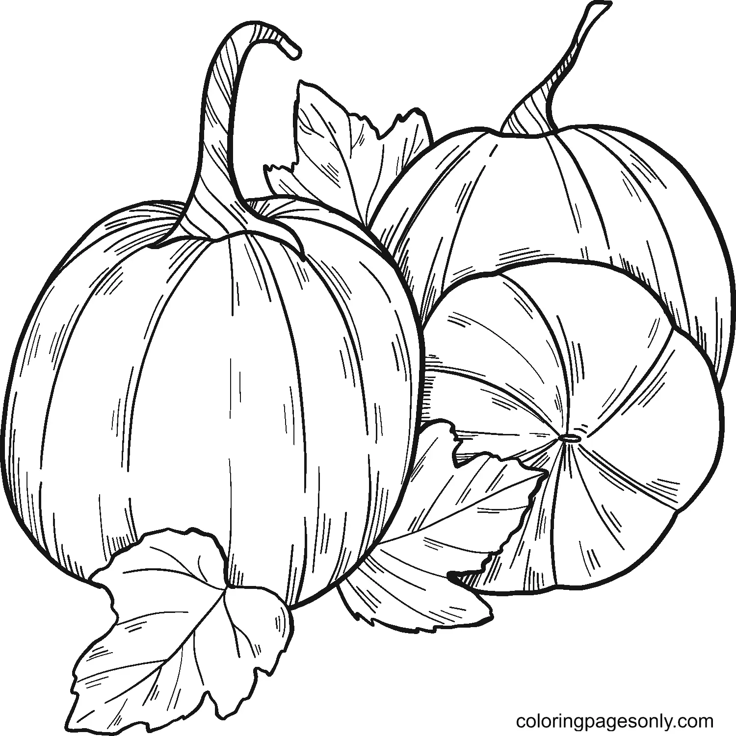 Pumpkin Coloring Pages 11