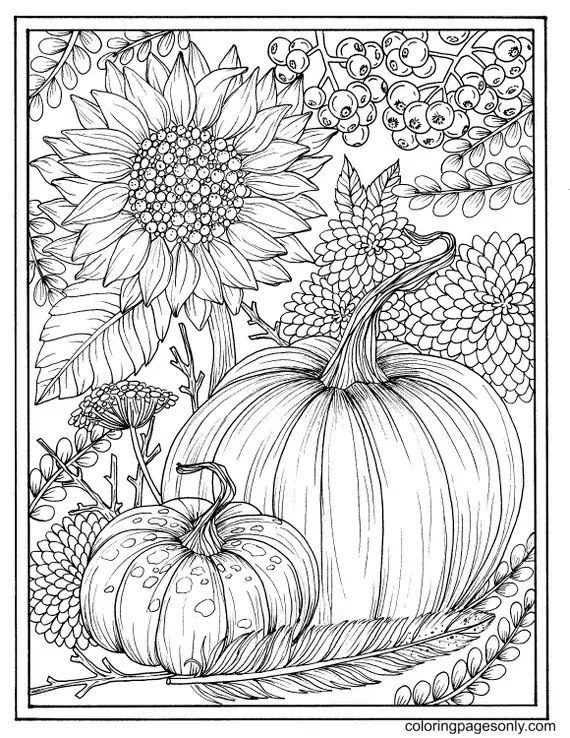 Desenhos de Pumpkin Para Colorir 16