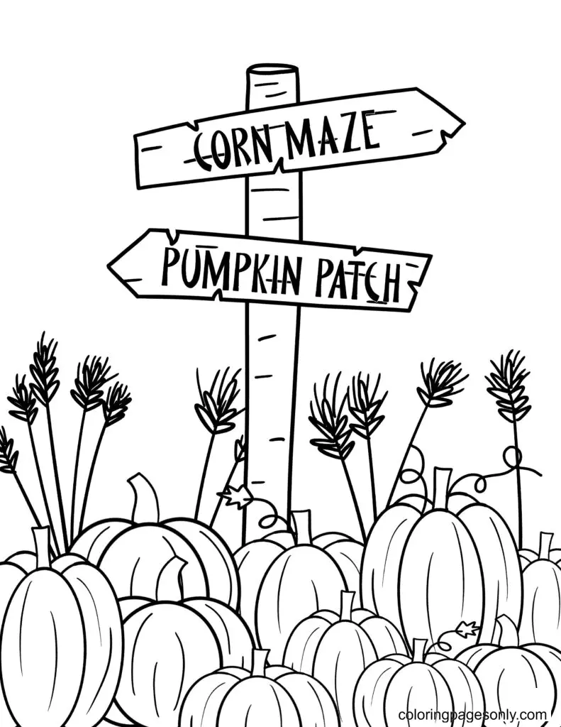 Pumpkin Coloring Pages 3