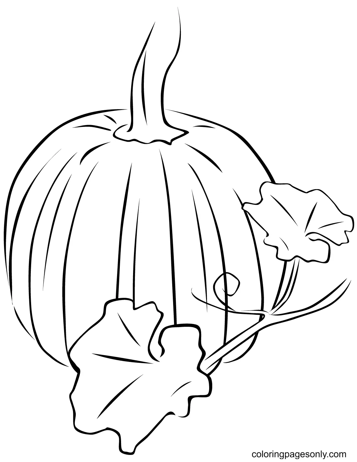 Pumpkin Coloring Pages 48