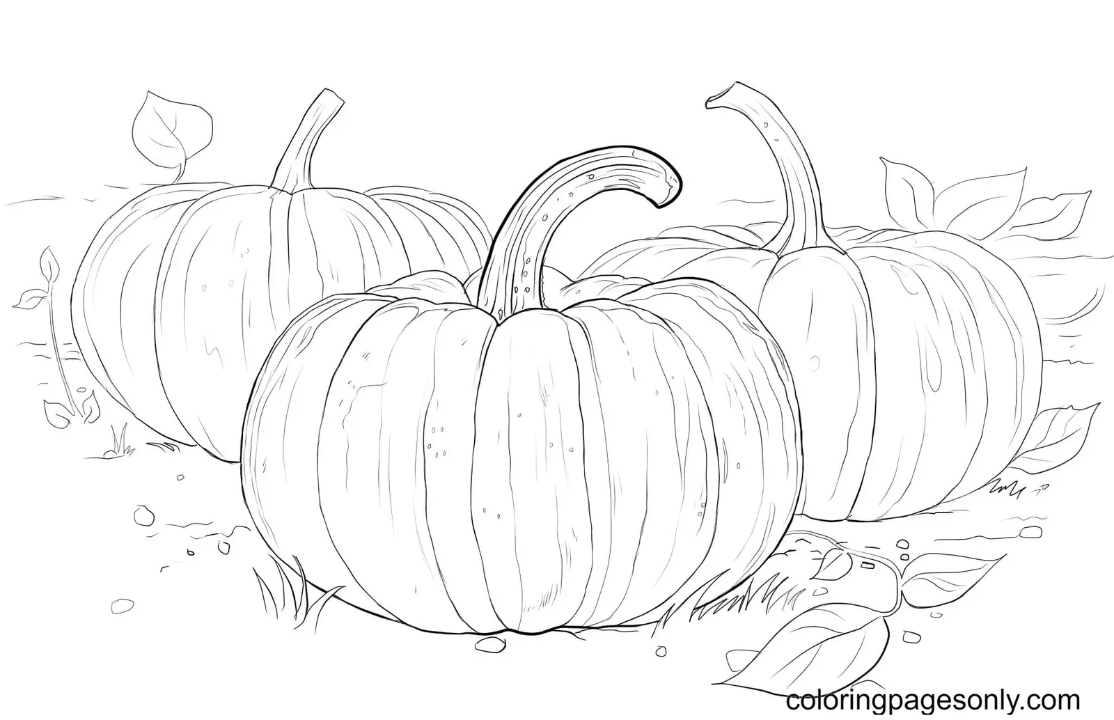 Pumpkin Coloring Pages 50