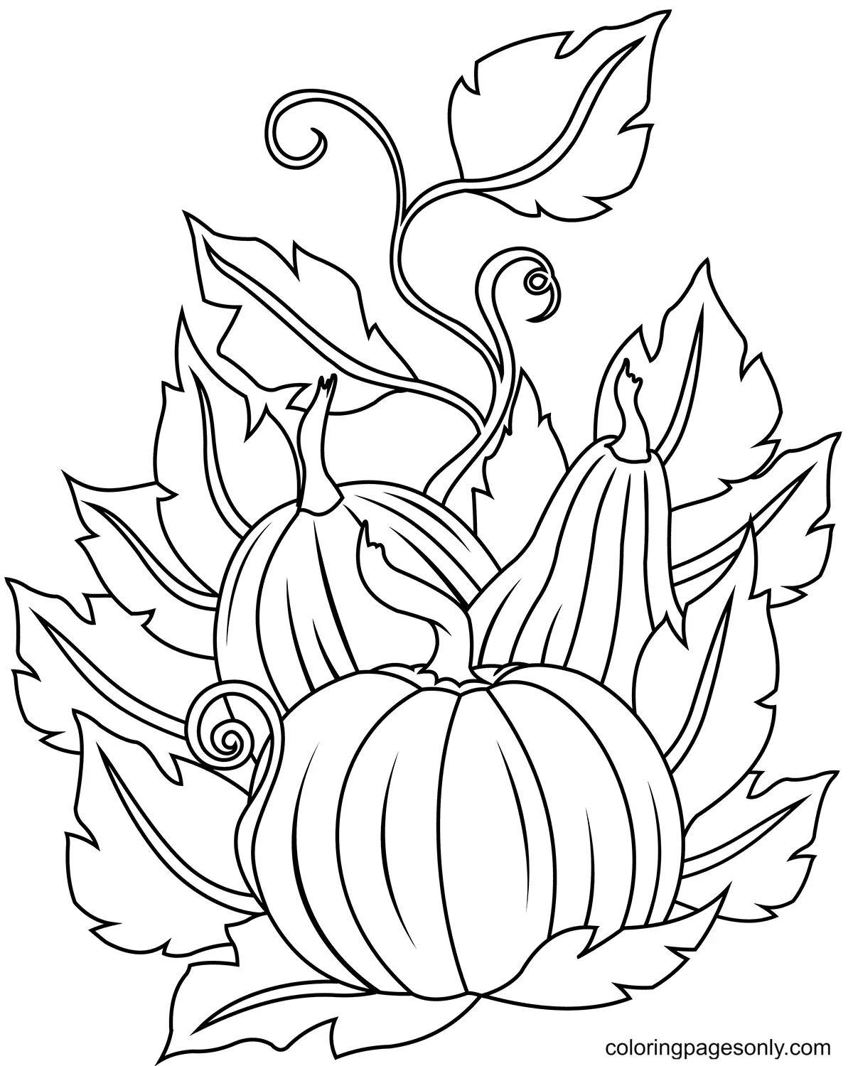 Pumpkin Coloring Pages 56