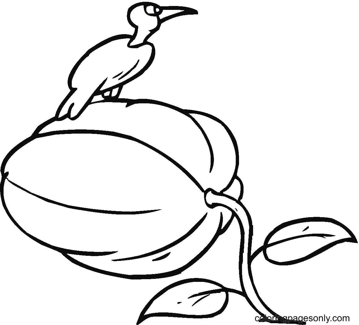 Pumpkin Coloring Pages 57