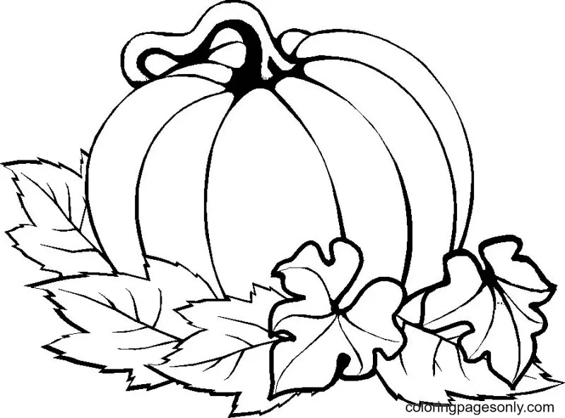 Pumpkin Coloring Pages 7