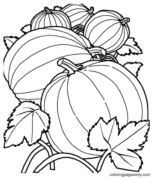 Pumpkin Coloring Pages 9