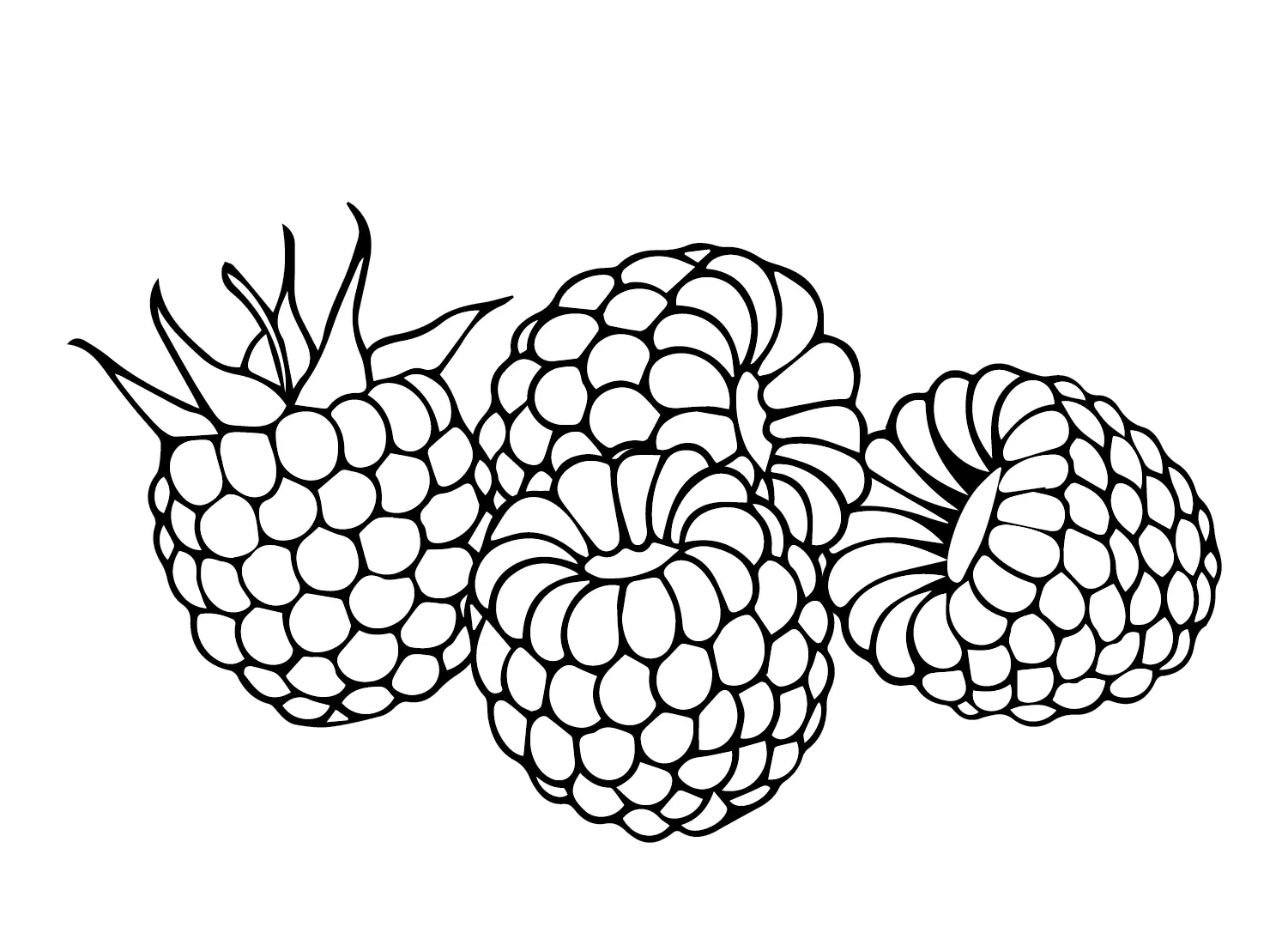 Raspberry Coloring Pages 15