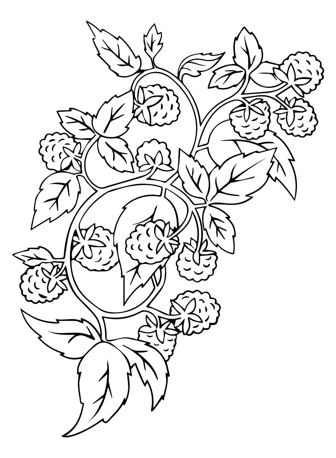 Raspberry Coloring Pages 17