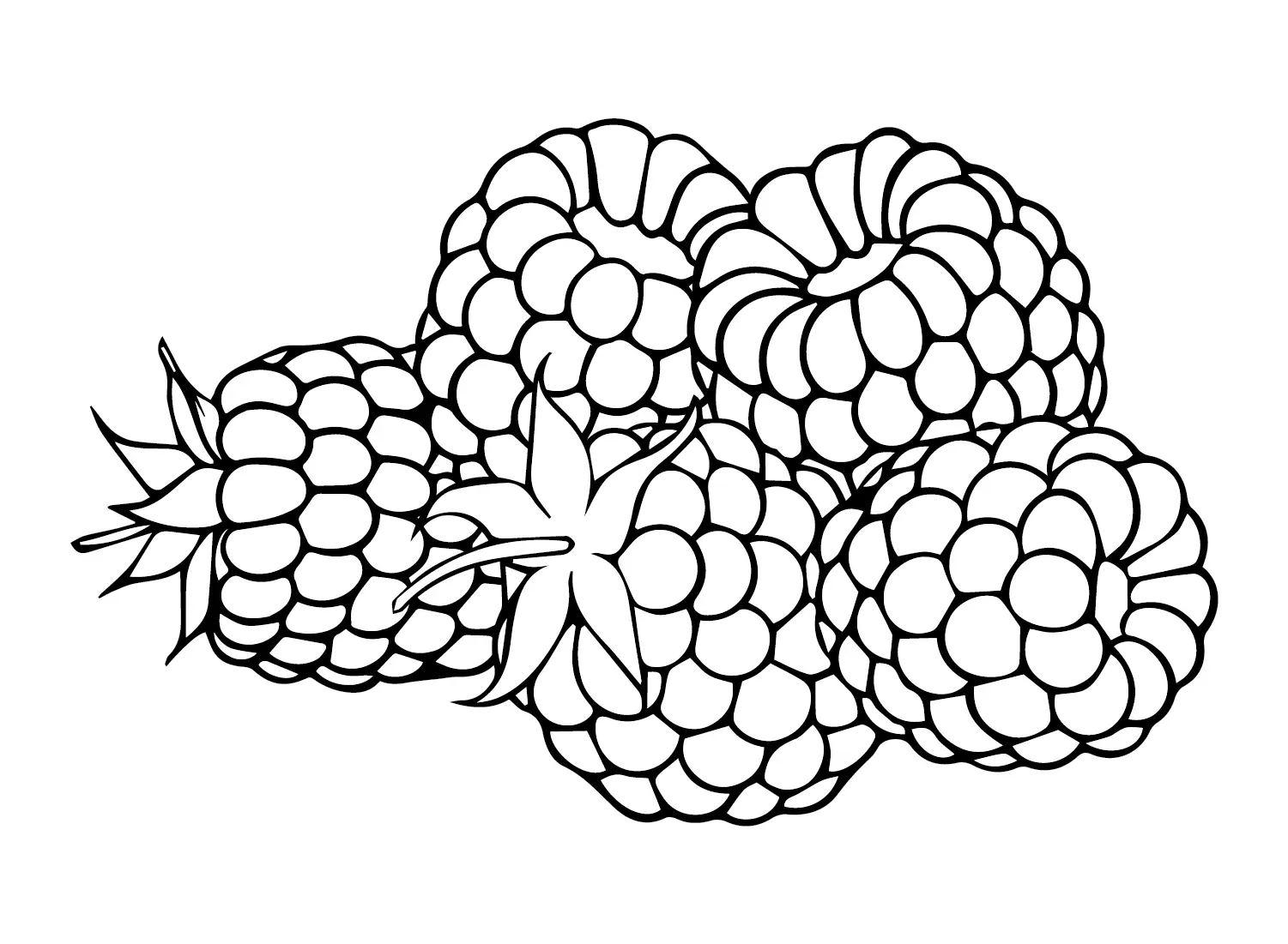 Raspberry Coloring Pages