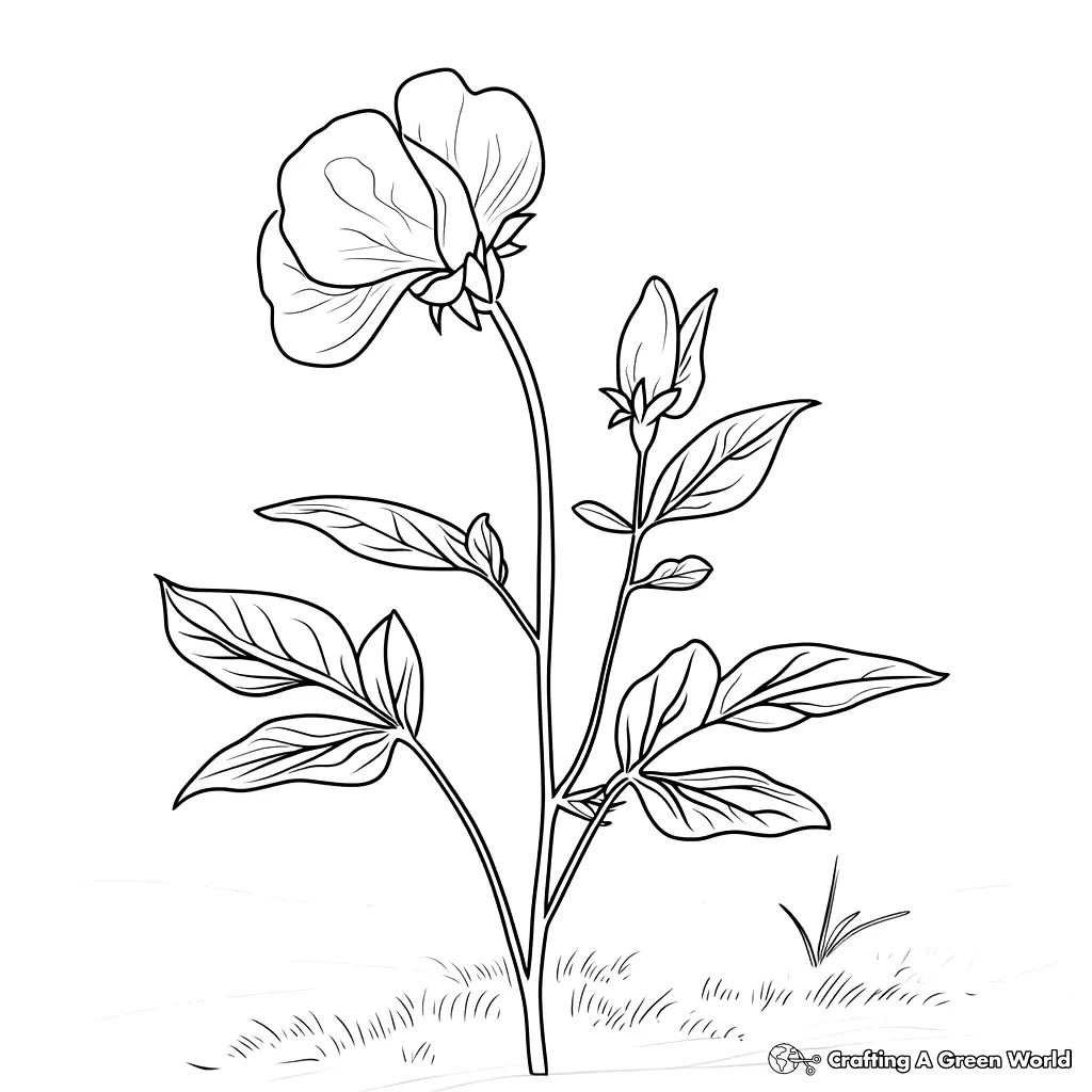 Realistic Flower Coloring Pages 138