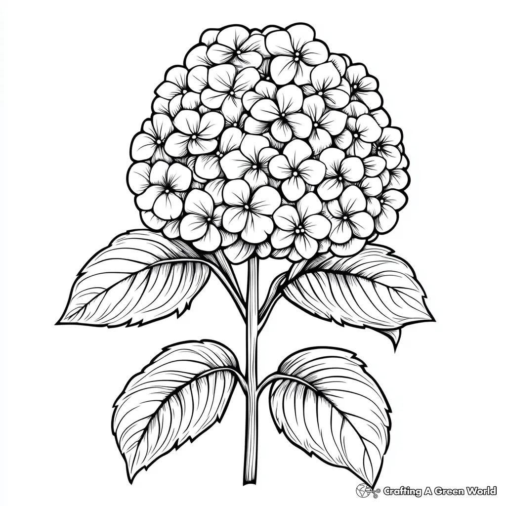 Flores Realistas para Colorir 52