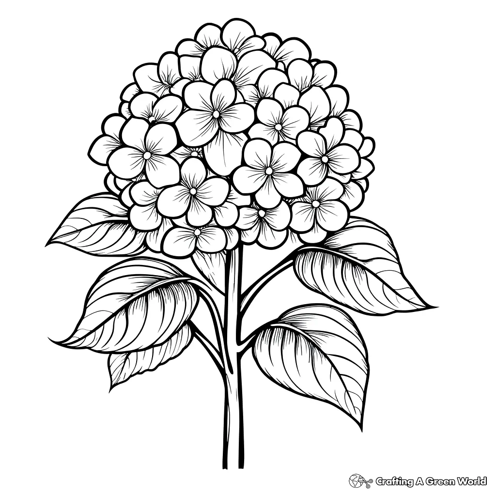 Realistic Flower Coloring Pages 56