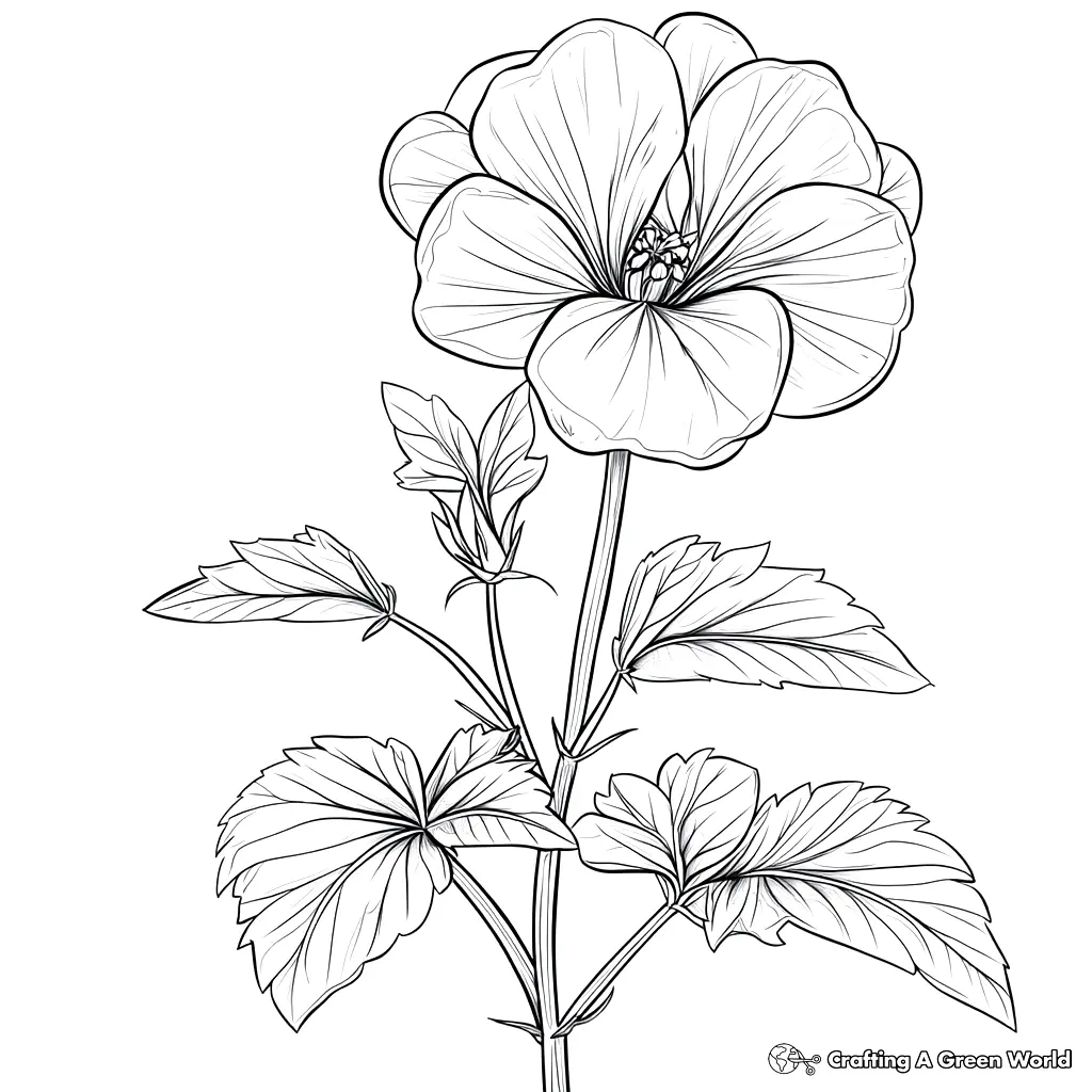 Flores Realistas para Colorir 83