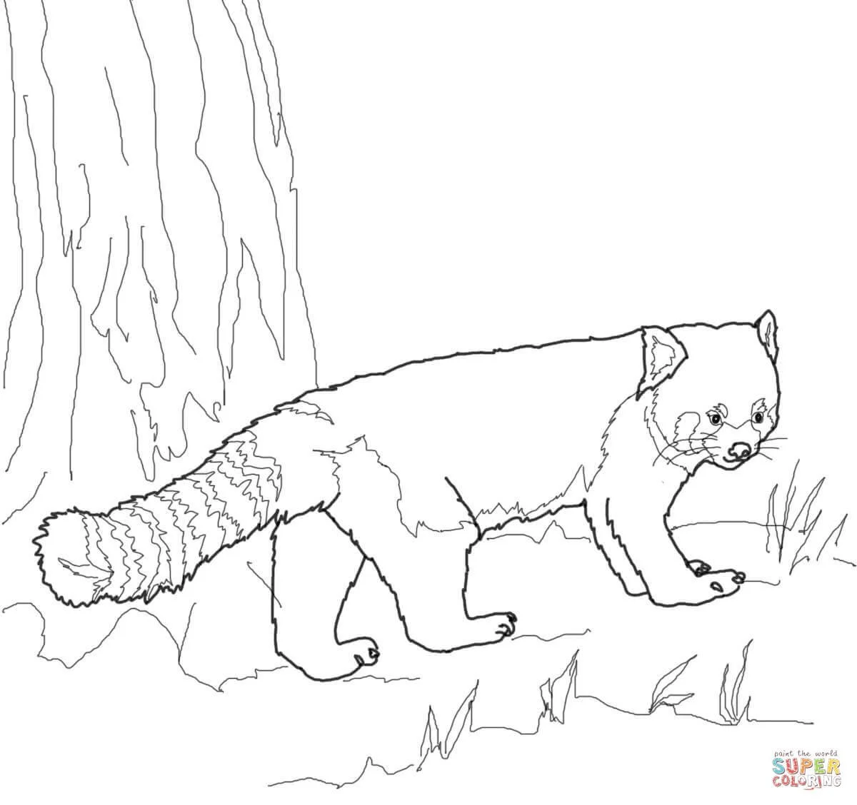 Red Panda Coloring Pages 11