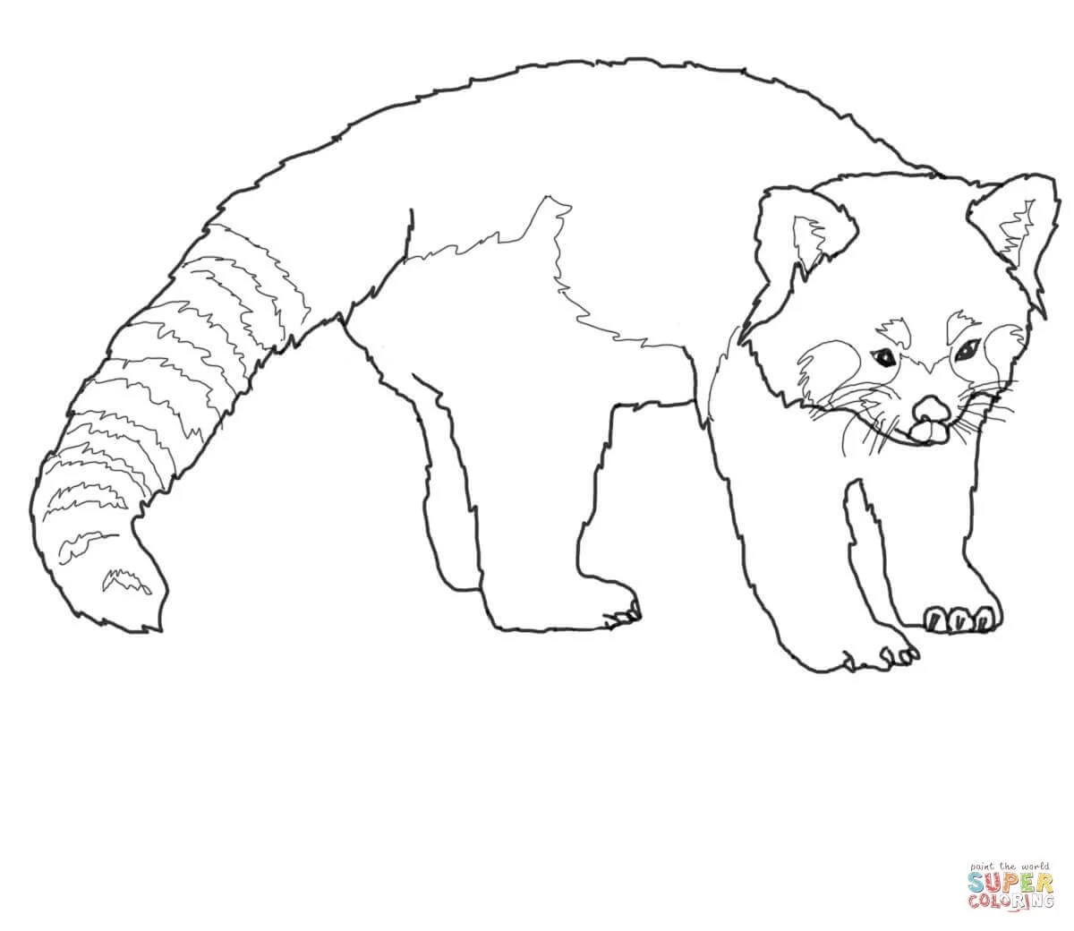 Red Panda Coloring Pages 2