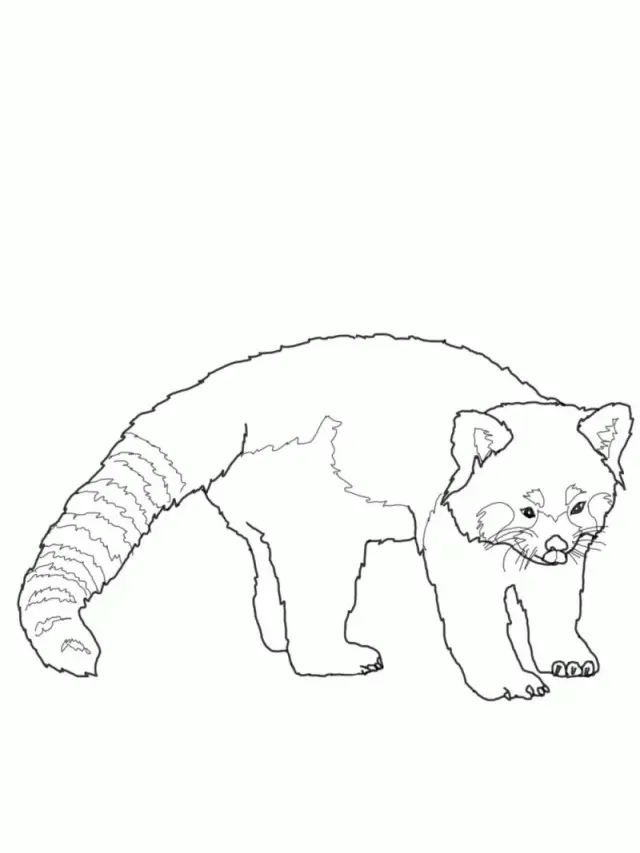 Red Panda Coloring Pages 9