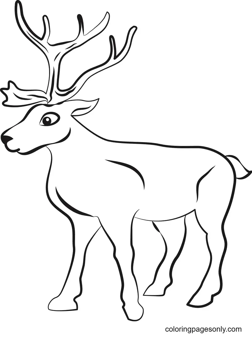 Reindeer Coloring Pages 23