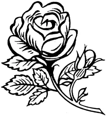 Roses Coloring Pages 12