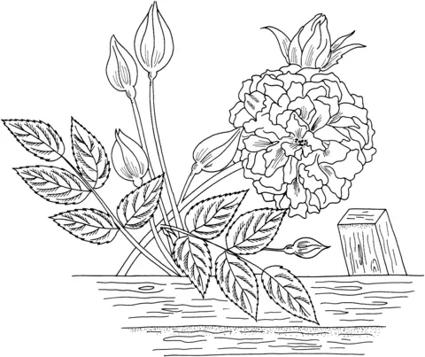 Roses Coloring Pages 68