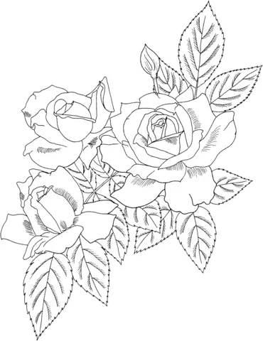Rosas Para Colorear 70
