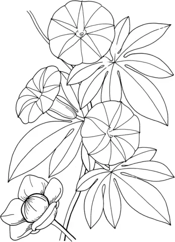 Roses Coloring Pages 78