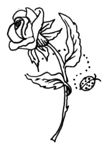 Roses Coloring Pages 82