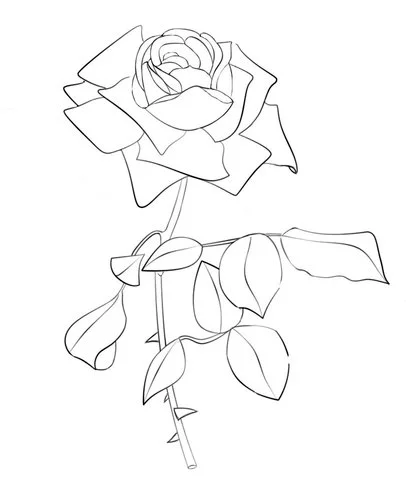 Rosen Ausmalbilder 89