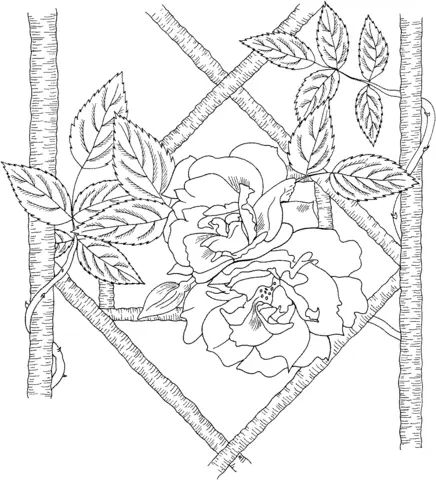 Roses Coloring Pages 91