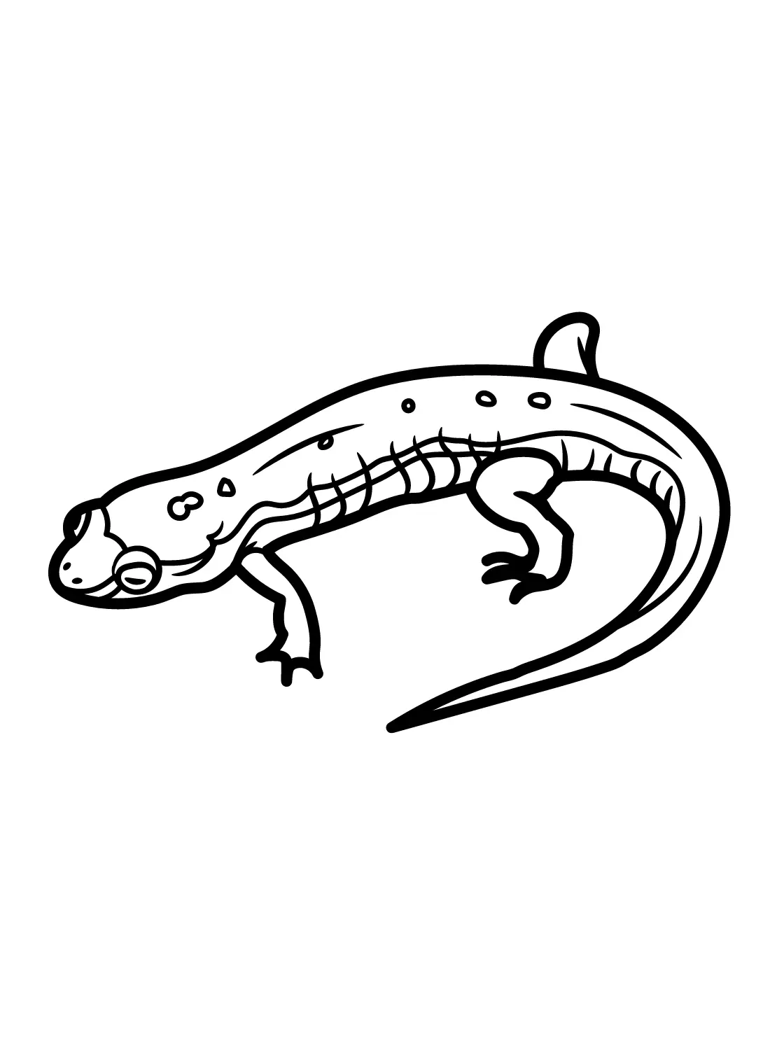 Desenhos de Salamandra Para Colorir