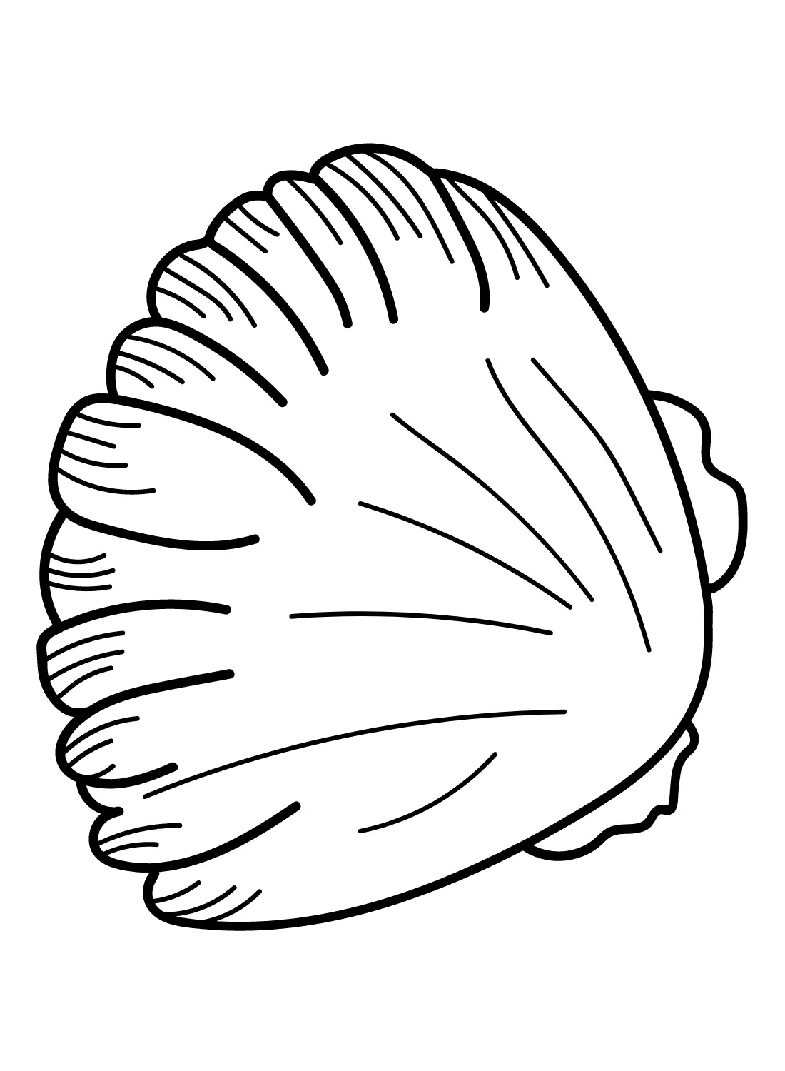 Scallop Coloring Pages 23