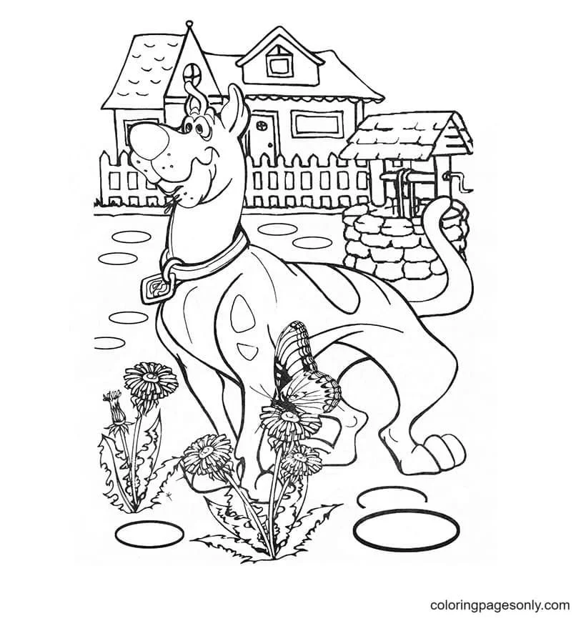 Scooby Doo Coloring Pages 81