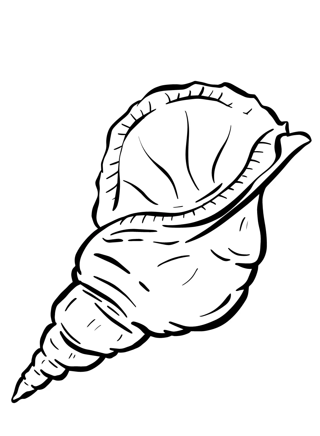 Sea Snail Coloring Pages