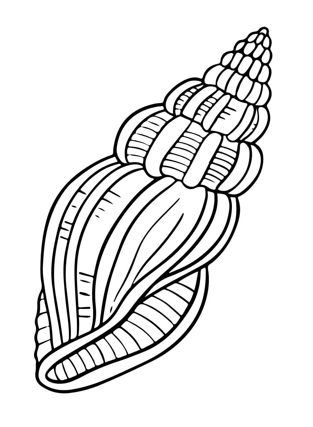 Sea Snail Coloring Pages 2