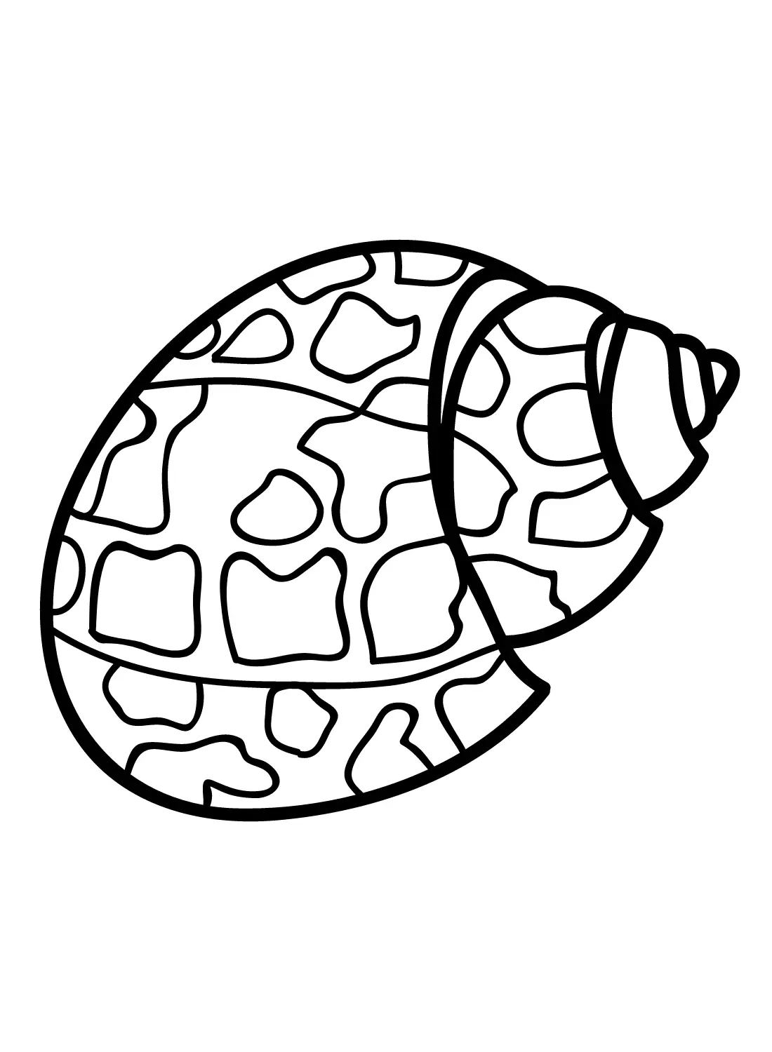 Sea Snail Coloring Pages 5