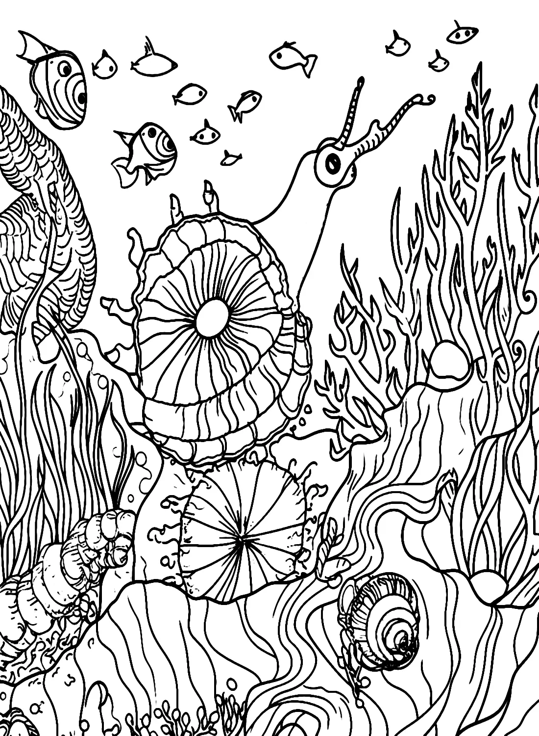 Sea Snail Coloring Pages 8