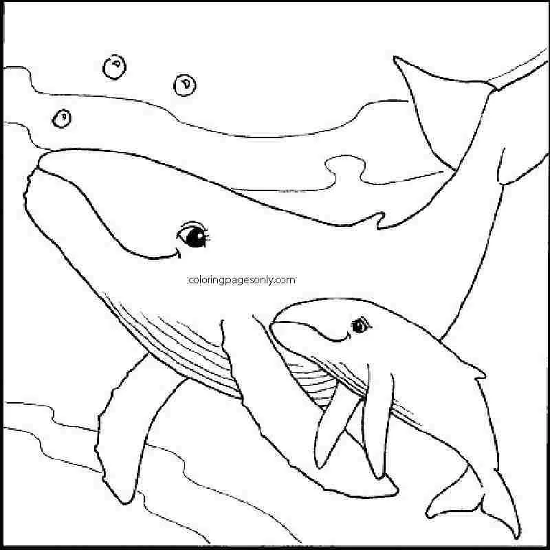 Seas and oceans Coloring Pages 30