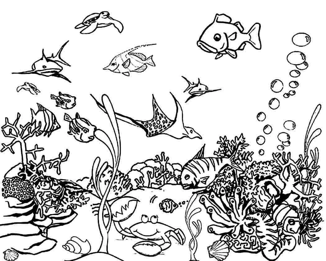 Seas and oceans Coloring Pages 34