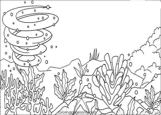 Seas and oceans Coloring Pages 36