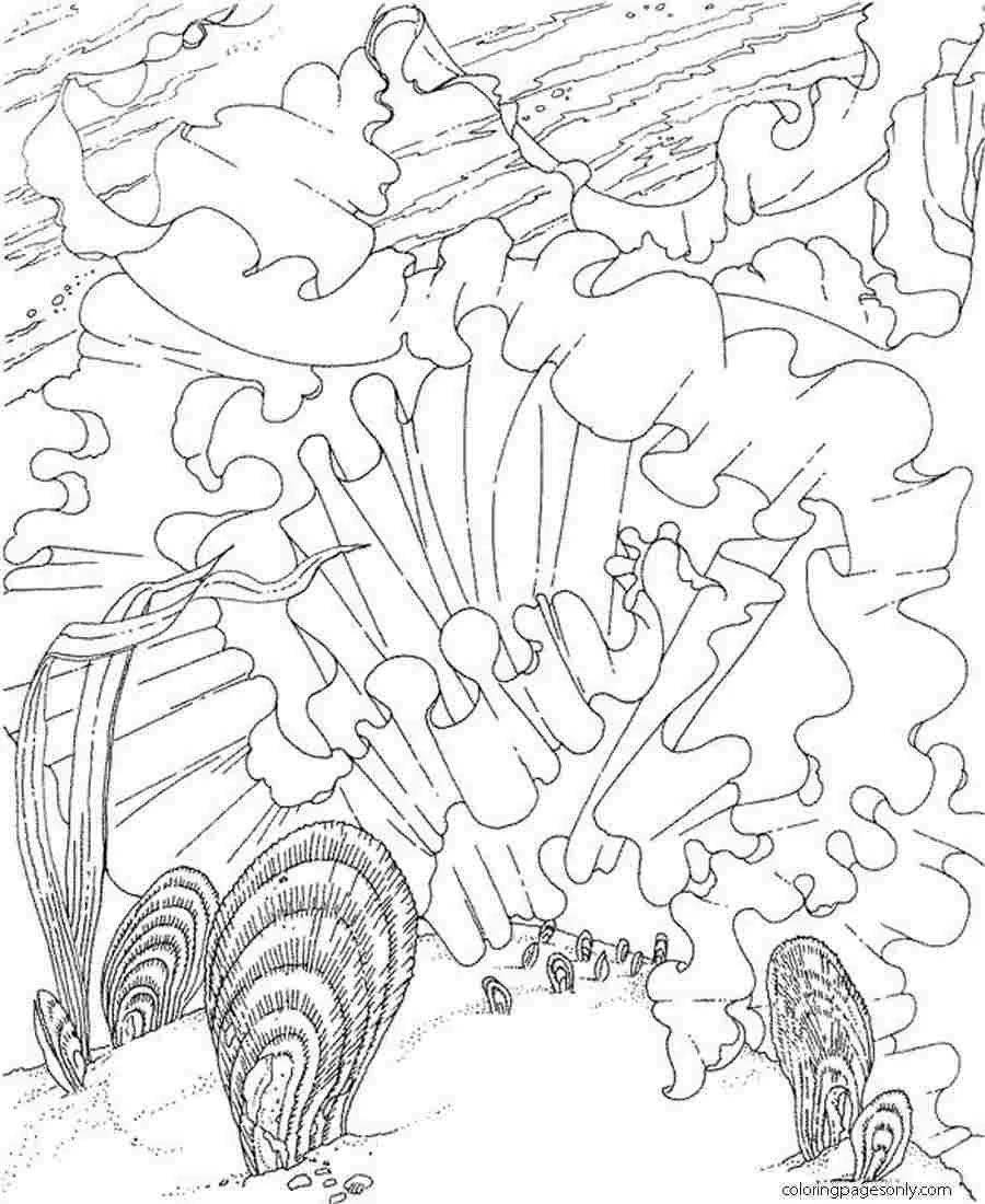 Seas and oceans Coloring Pages 46