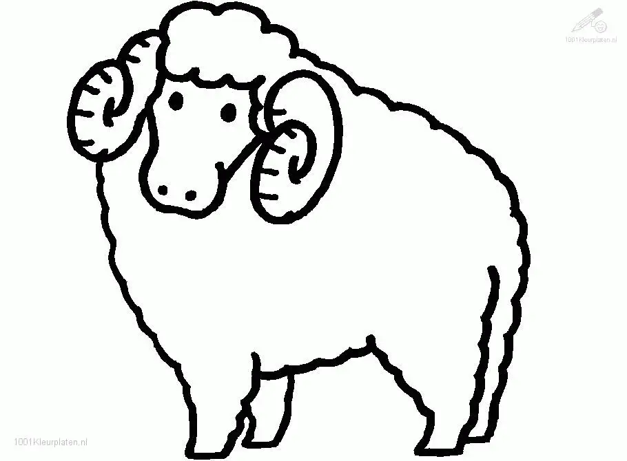 Sheep Coloring Pages 1